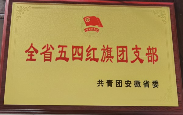 省五四红旗团支部.jpg